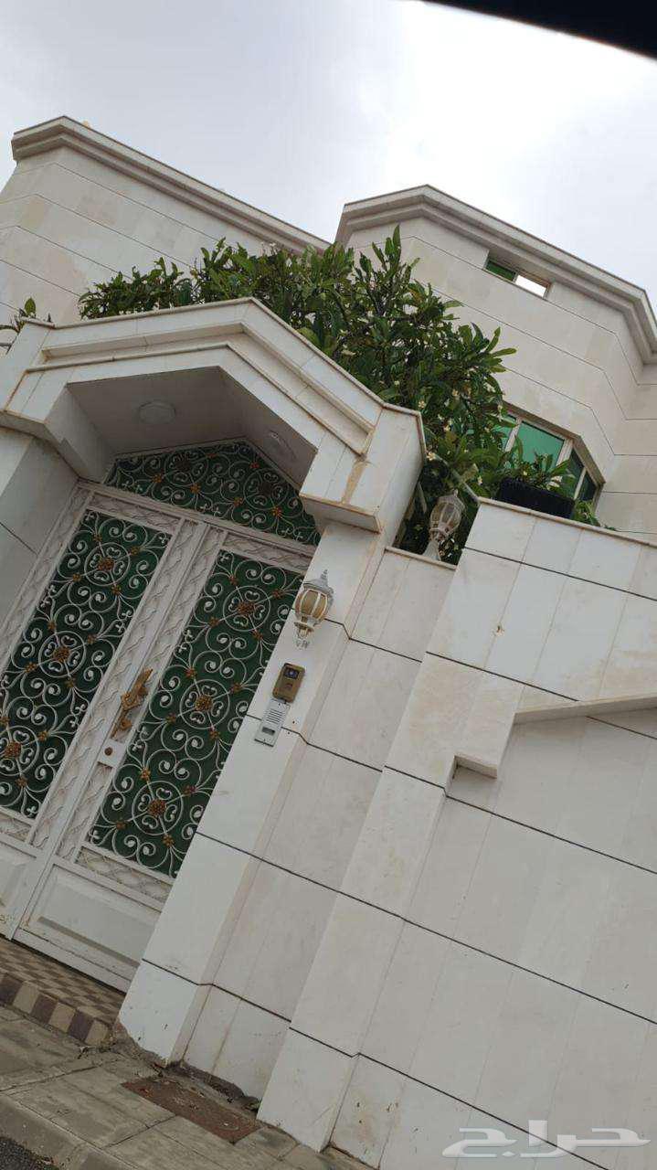 Cleaning Company in Taif, Tank and Carpet Washing63617507785730113