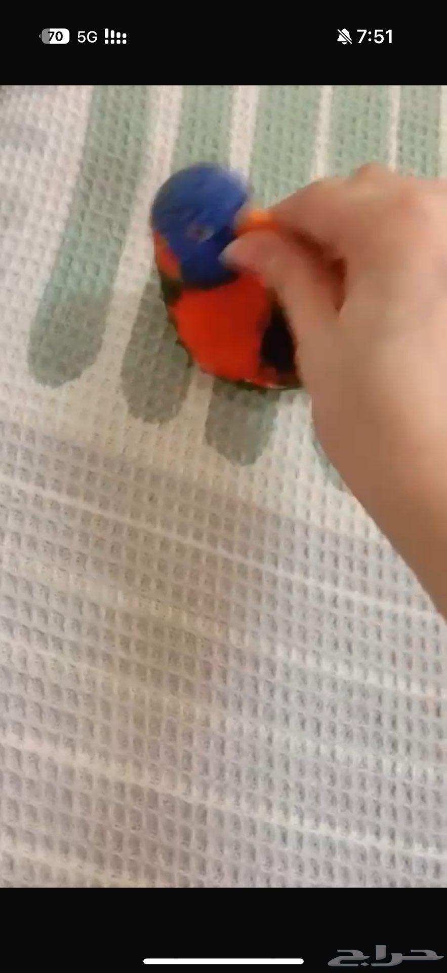 للبيع لوري اليف ومتكلم64210227833474111