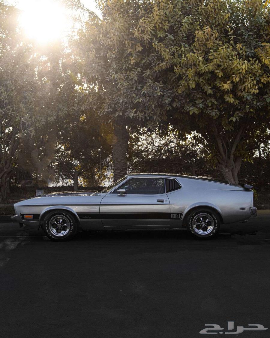 فورد موستنغ مالك 1 197364405472631170114