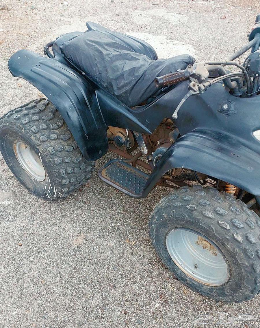 دباب كبير تايواني اصلي64405902242307110