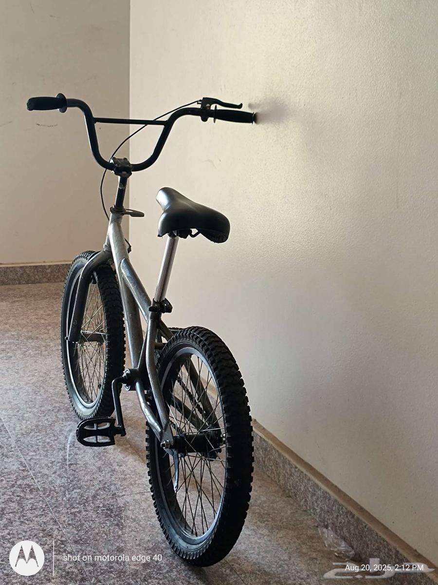 سيكل كبير للبيع64217048541185112
