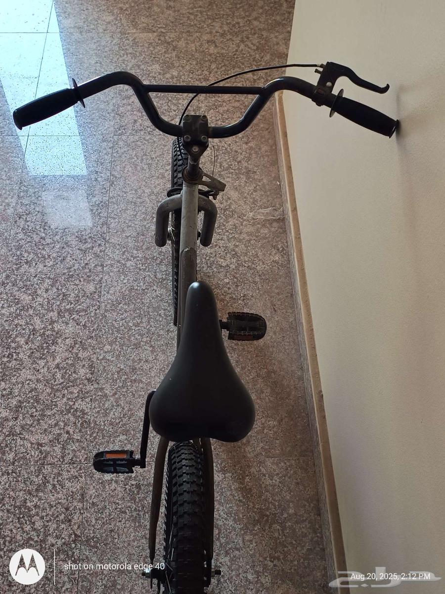 سيكل كبير للبيع64217048541185111