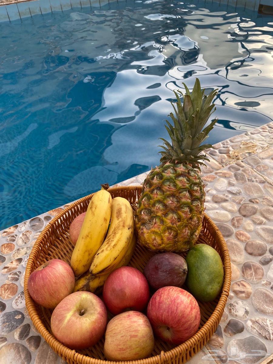 ترفيه شاليه فلة64318892451459112