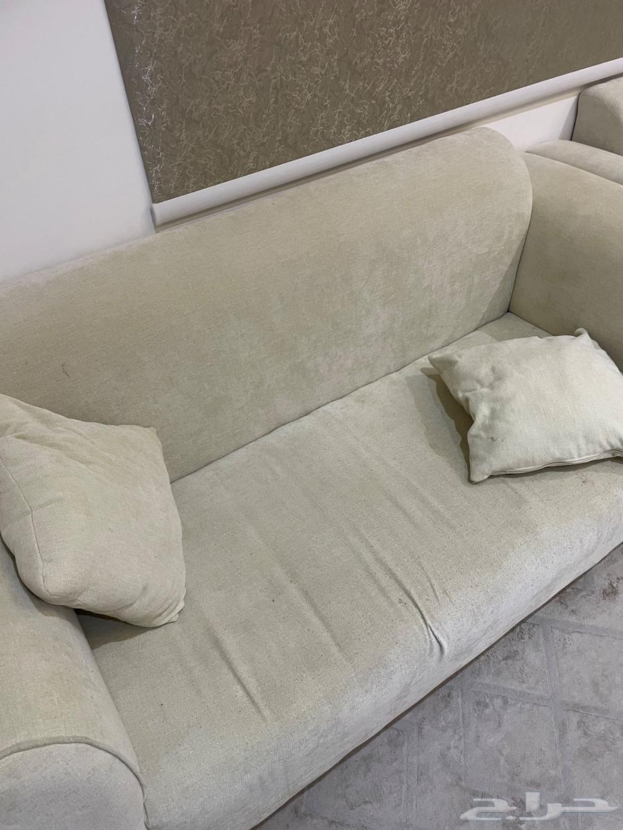 Sofa64219828725507113