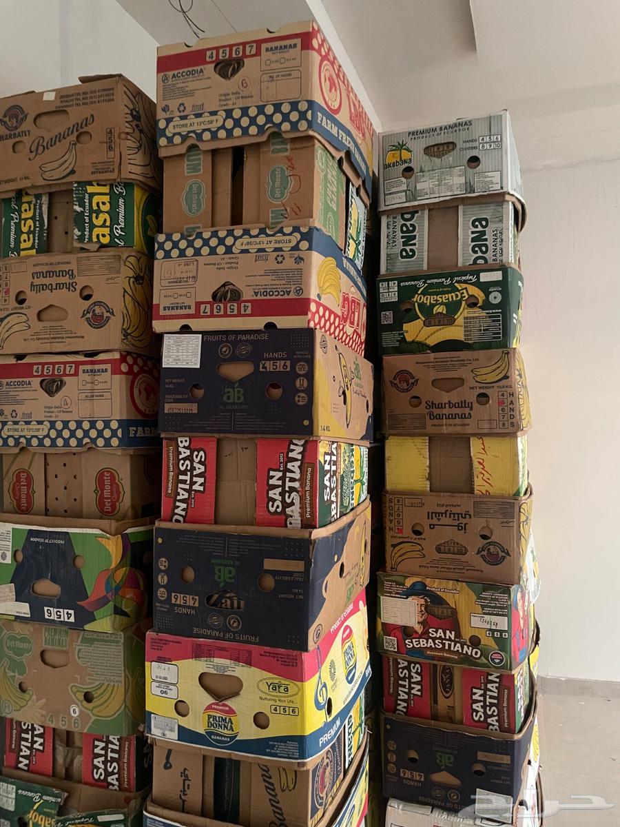 كراتين موز نضيفة بعد بيع الموز64222773984897110