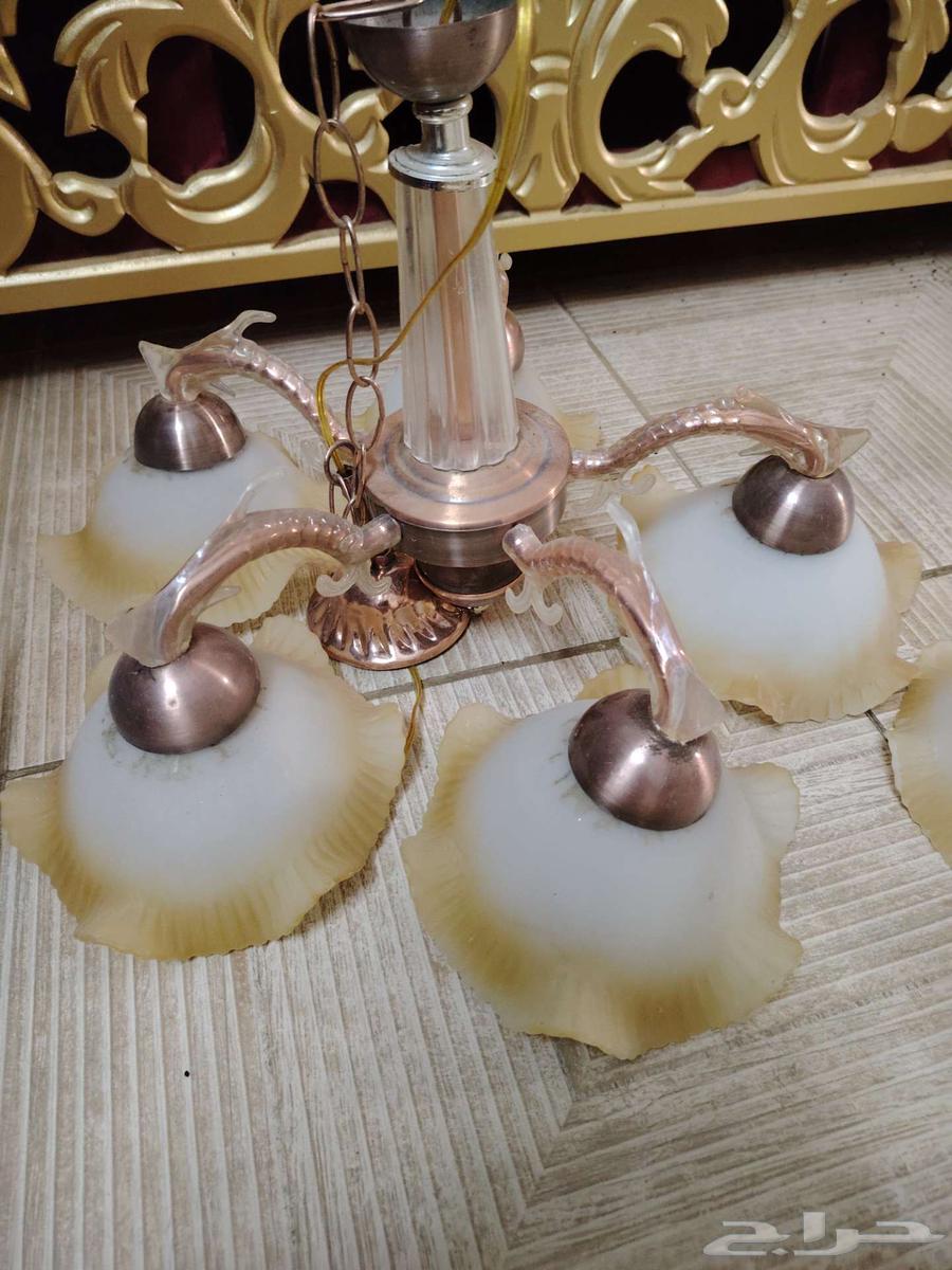 نجف للبيع 7حبات الحبه ب15ريال64226394579715113