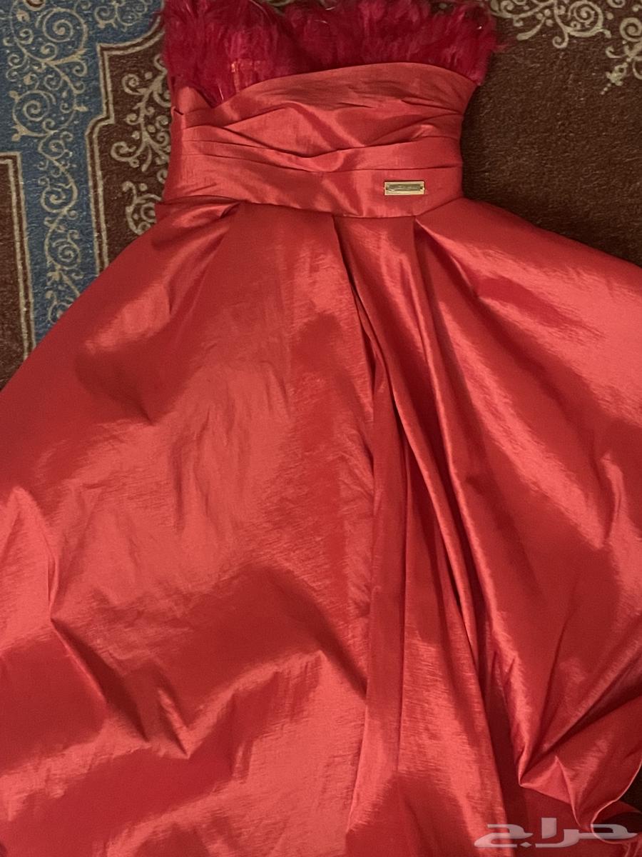 شارع الفن64232183680002111