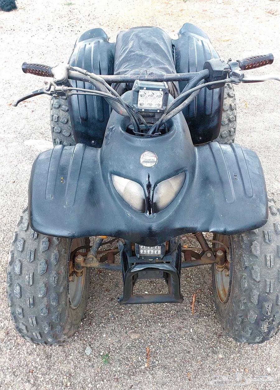 دباب كبير تايواني اصلي64405902242307112