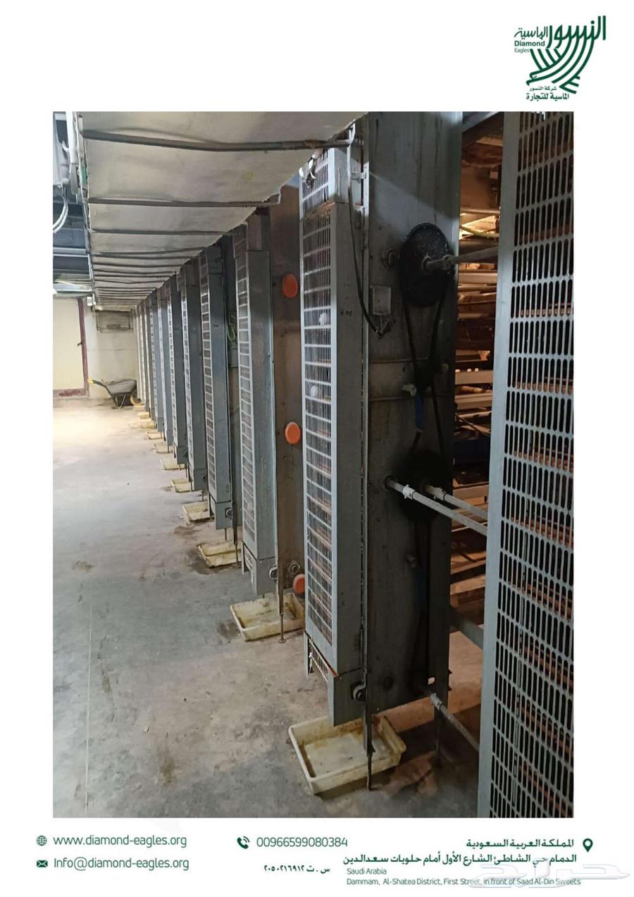 بطاريات دجاج أوروبية مستعملة للبيع ( ألماني )64216823928322113