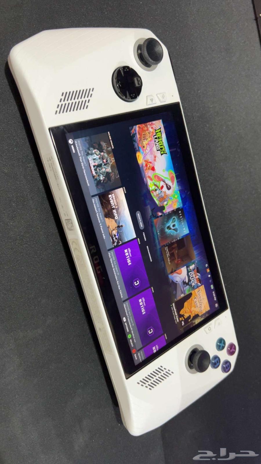 RC71L ROGALLY - جهاز العاب اسوس محمول 1 تيرا64219422411906110