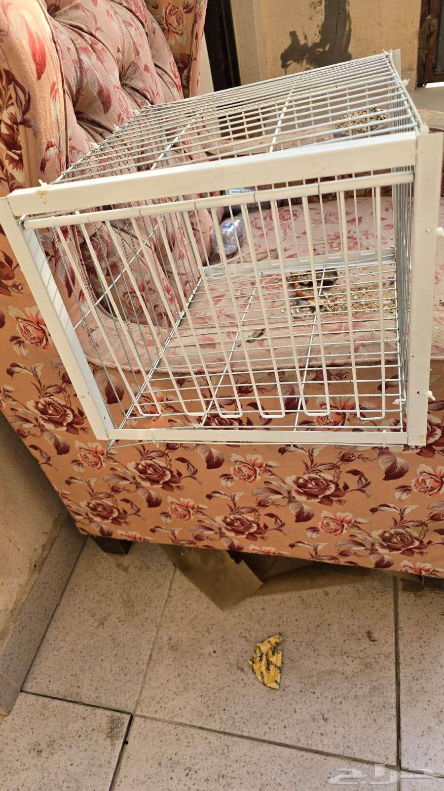 فخ حمامة محمول ذو 4 قنوات أحادي الاتجاه مع تصميم مضاد للهروب64220226884225112