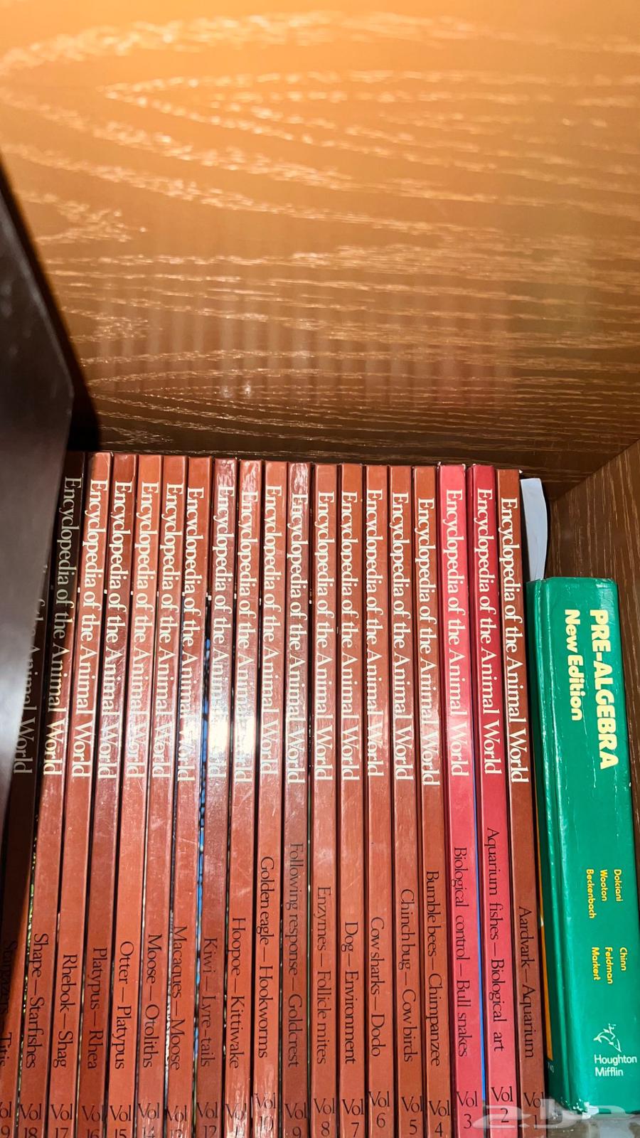 بيع مجموعة كتب اصدار قديم - طبي - انجليزي - حاسب - ادب -دين64225193761921112