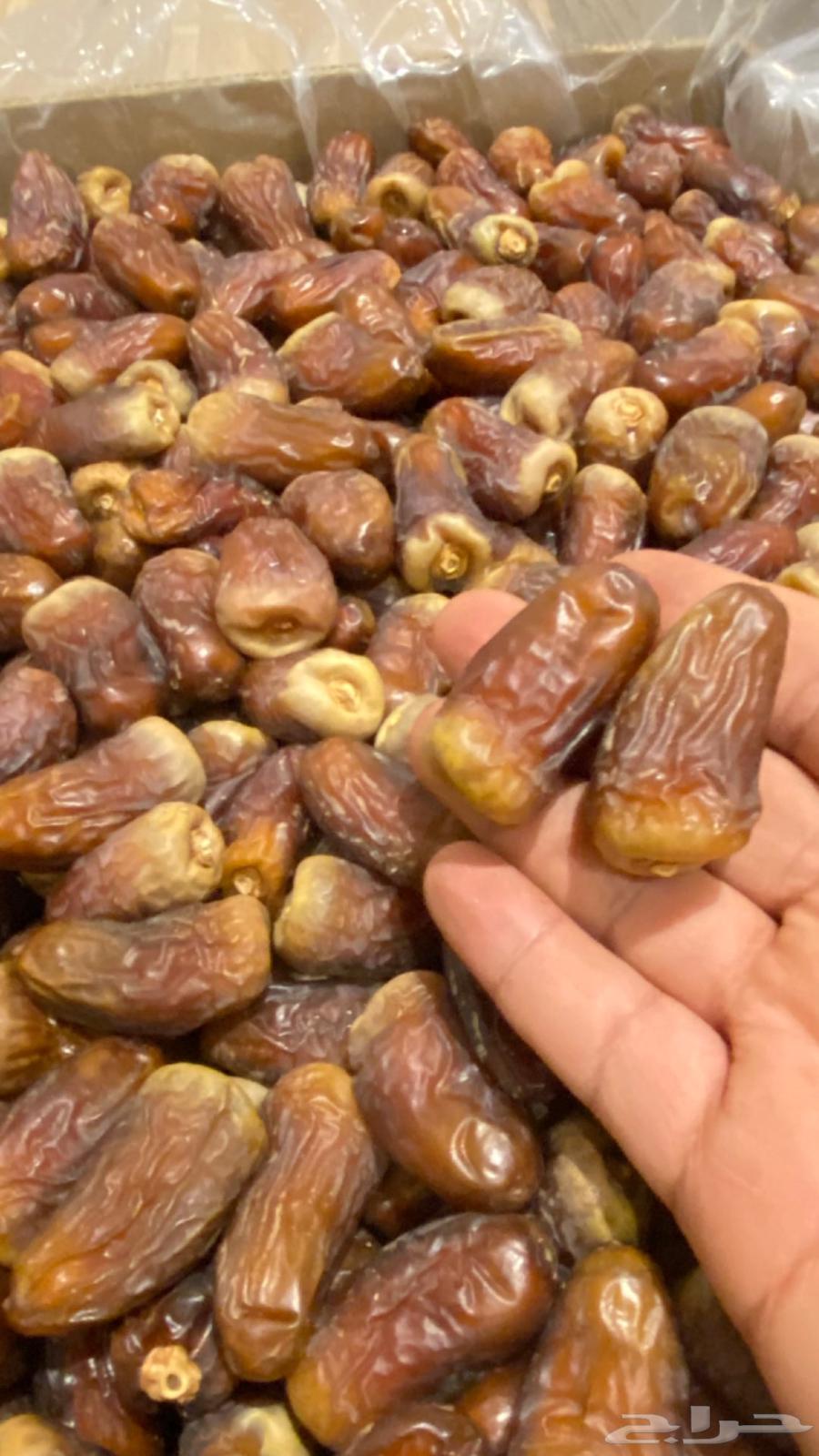 برني العيص الفاخر64226758332673111