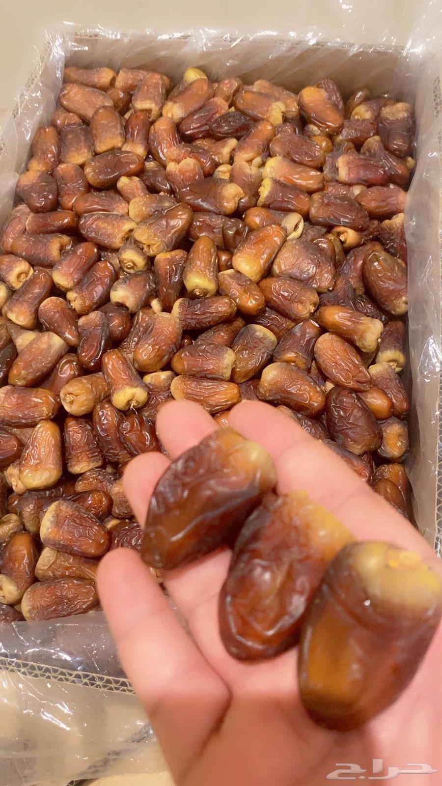 برني العيص الفاخر64226758332673110