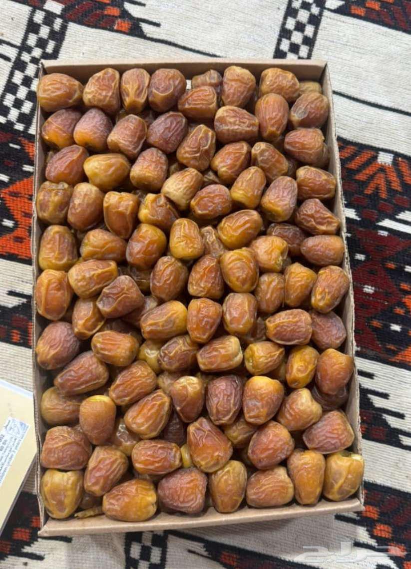 تمر سكري القصيم خراف هذي السنه من القصيم مباشره لمكه وجده64242629773443111