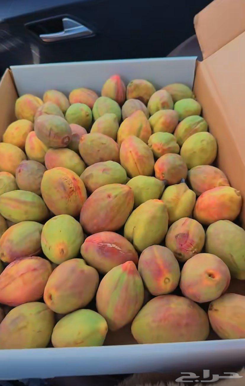 لوز ويوجد توصيل لكل المناطق64237524039553113