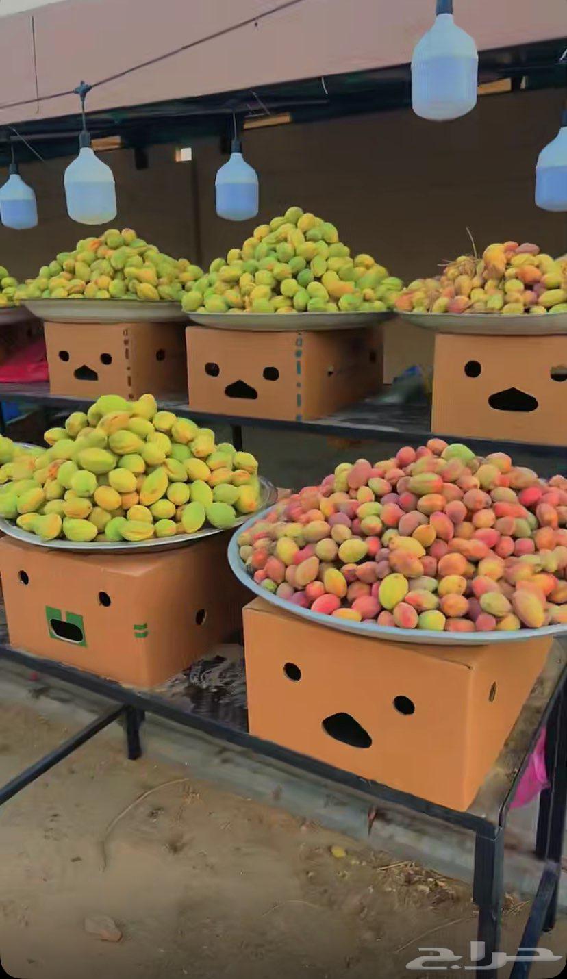 لوز ويوجد توصيل لكل المناطق64237524039553112