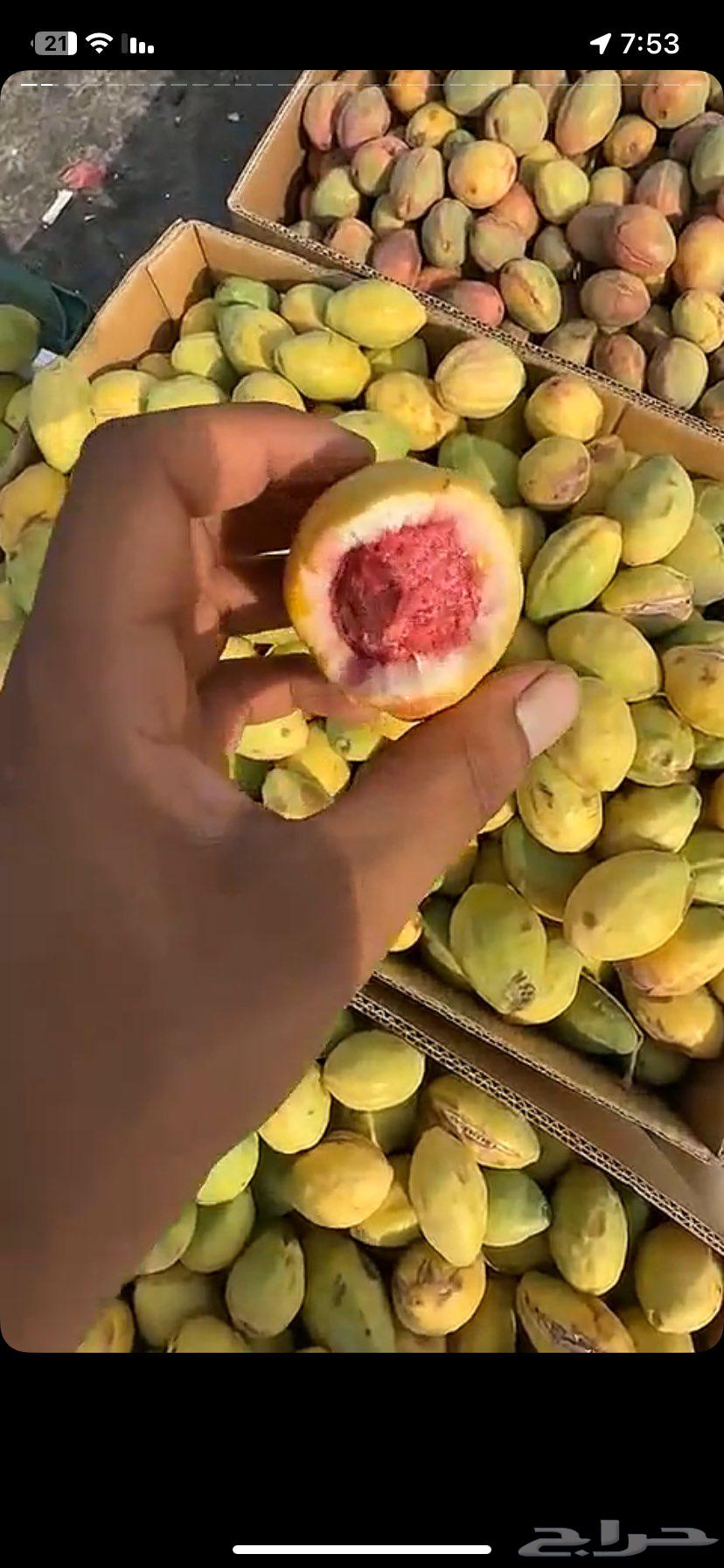 لوز ويوجد توصيل لكل المناطق64237524039553111