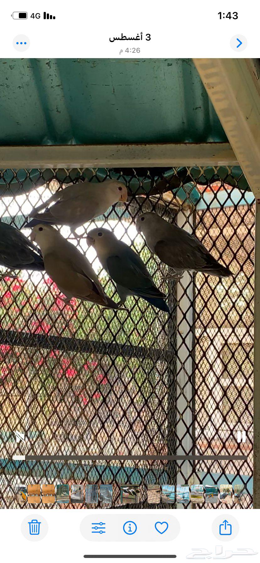 مطير روز للبيع64242812018434110