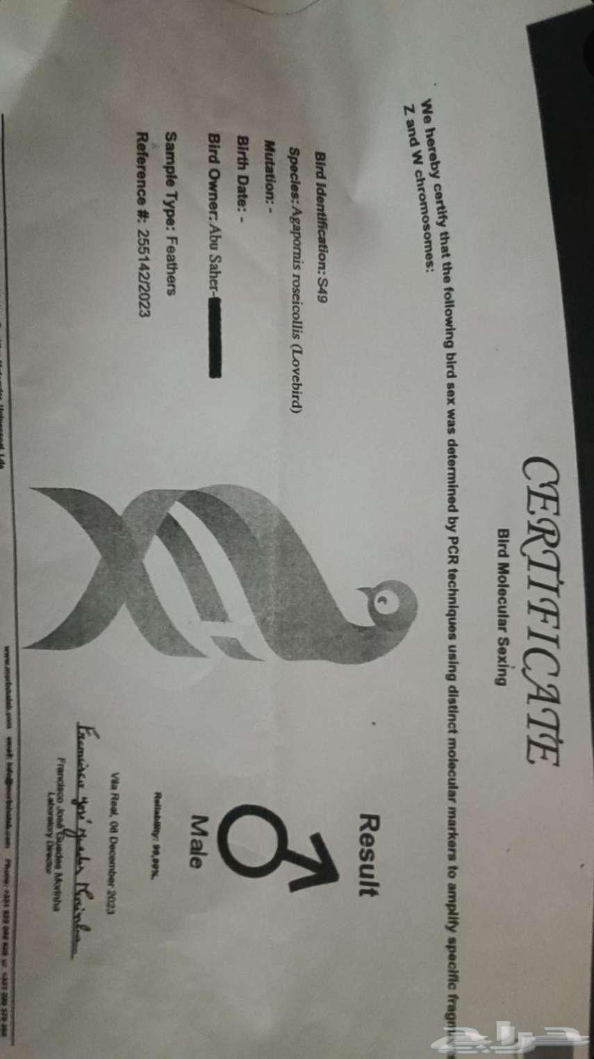 Dhikr Al-Roz (Ready for Production)64246989341059112