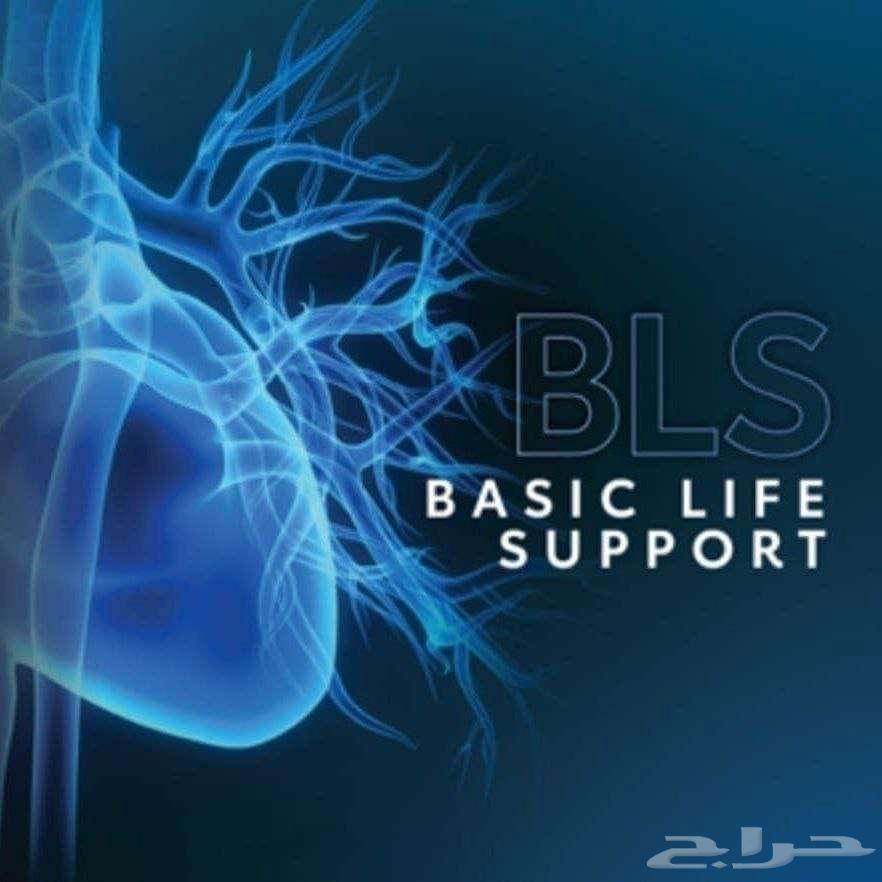 bls cpr64234619895426111