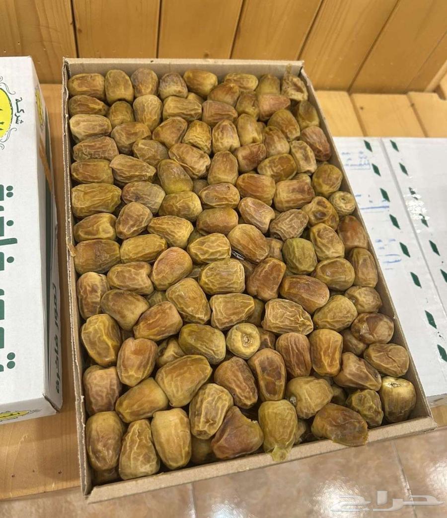 تمر سكري القصيم خراف هذي السنه من القصيم مباشره لمكه وجده64242629773443112