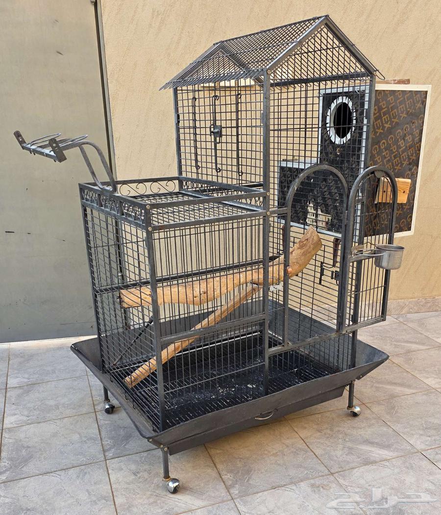 للبيع شبك كبير ونظيف للكاسكو64238371580801111