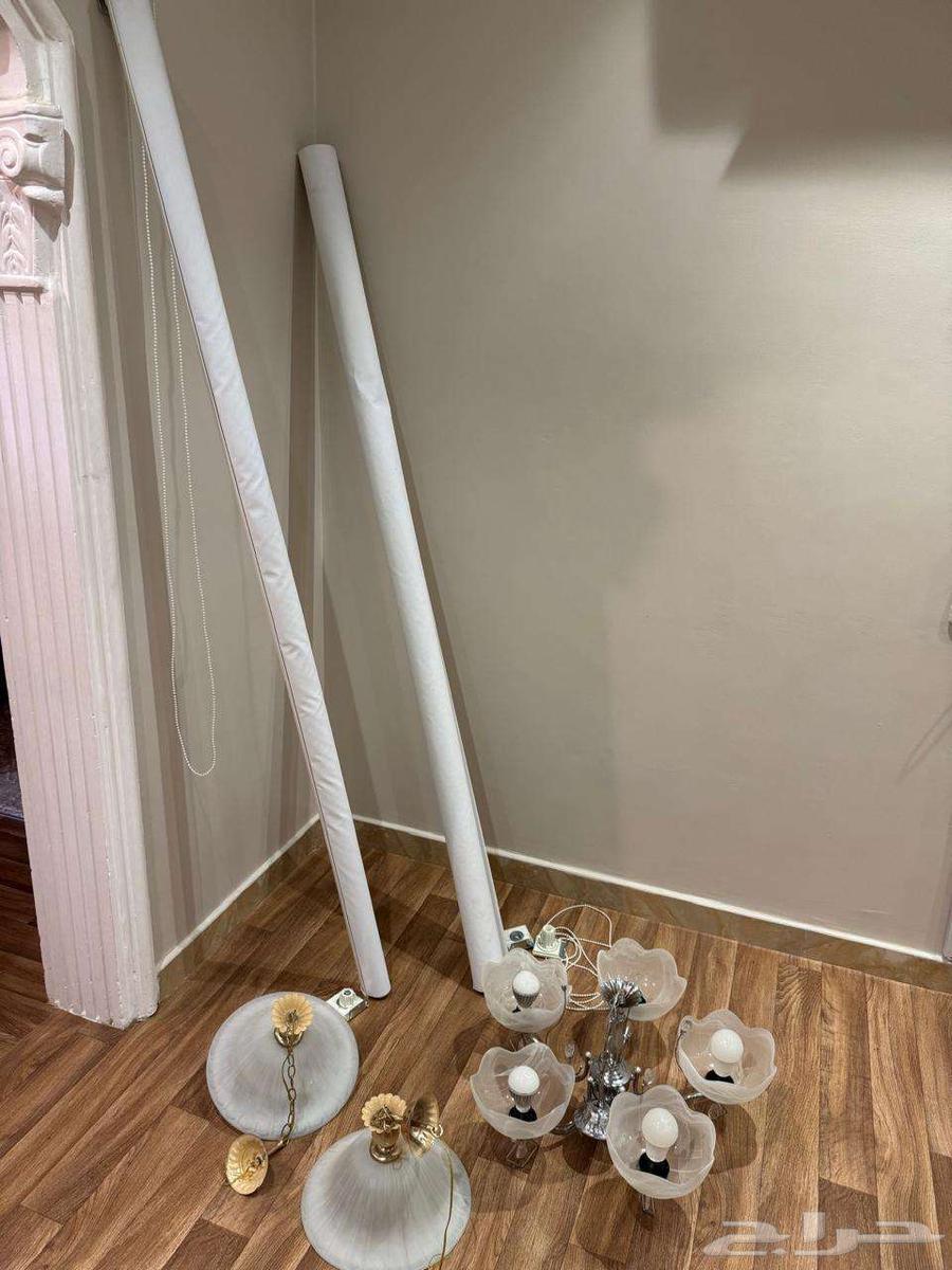 ستارتين رول وثريه ولمبتين64242629745026110