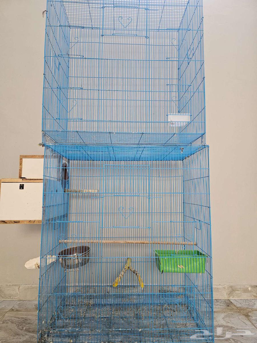 للبيع اقفاص واستاندات طيور كبيره64244772002433111