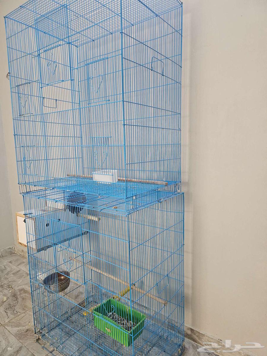للبيع اقفاص واستاندات طيور كبيره64244772002433110