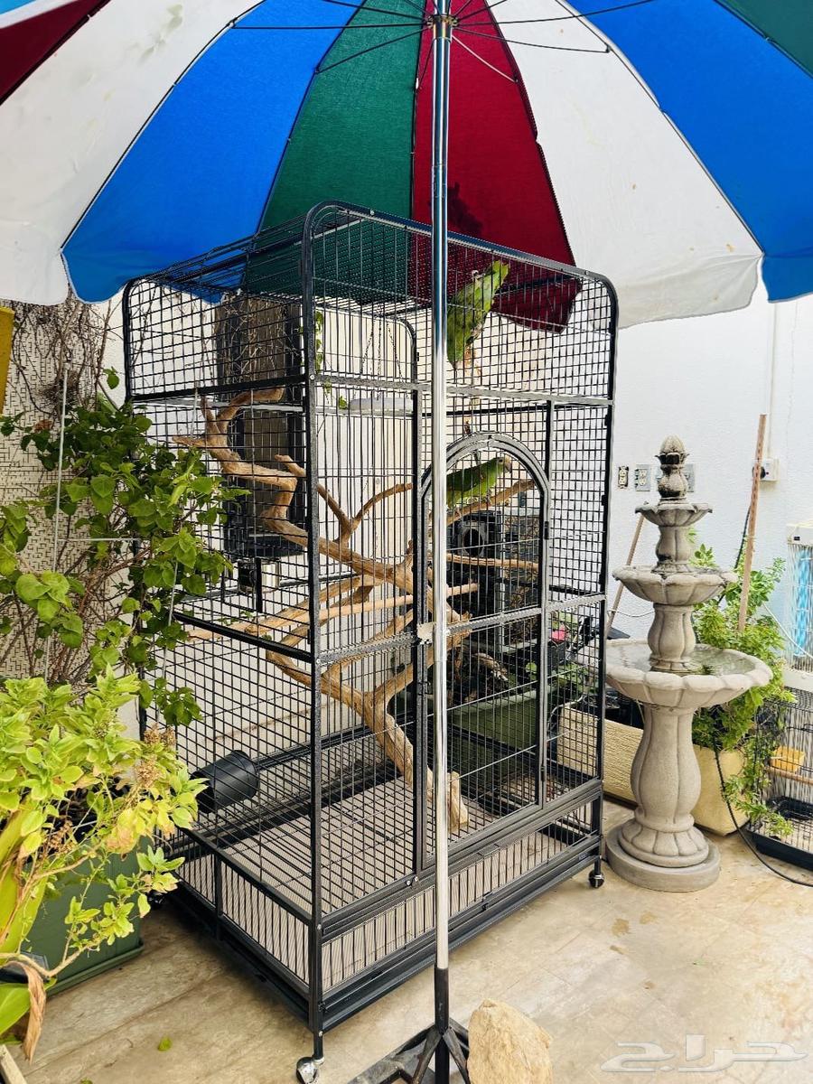 Large cages available, length 200, width 127, 2 new ones in carton64246141926018112