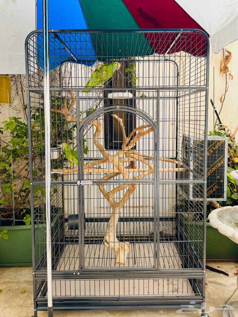 Large cages available, length 200, width 127, 2 new ones in carton64246141926018113