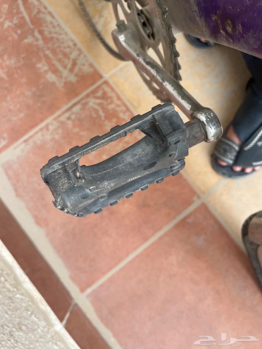 سيكل رامبو64247162101761113