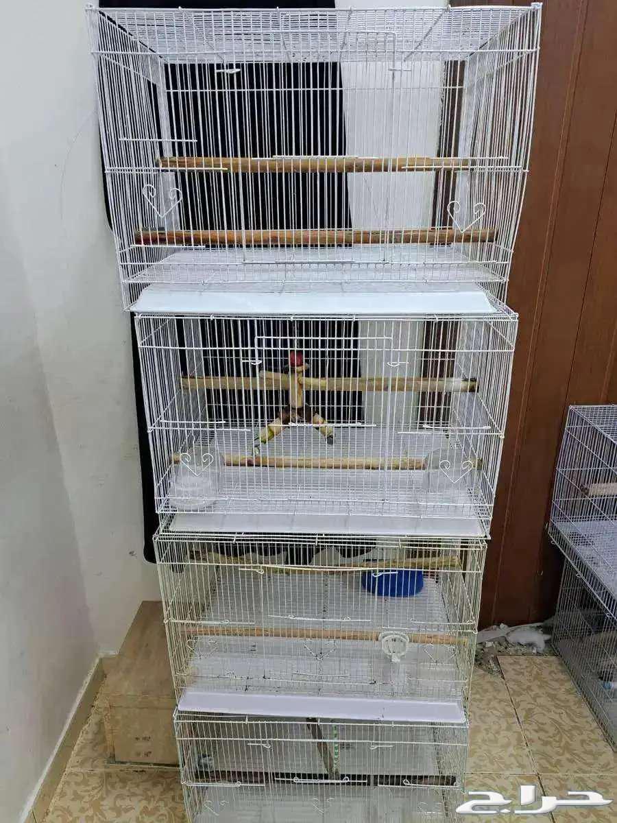 أستاند 601 مع الأقفاص (( تم البيع ))64249066319618110