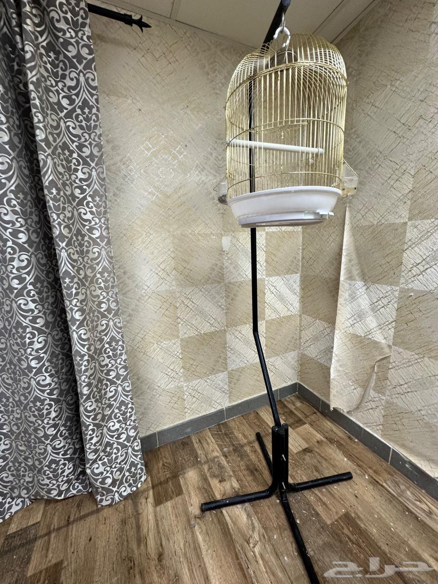 قفص وستاند64252799574017110