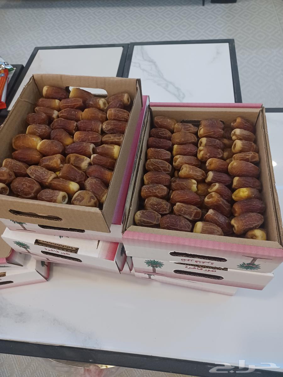 Excellent Sukkari dates64254755891457110
