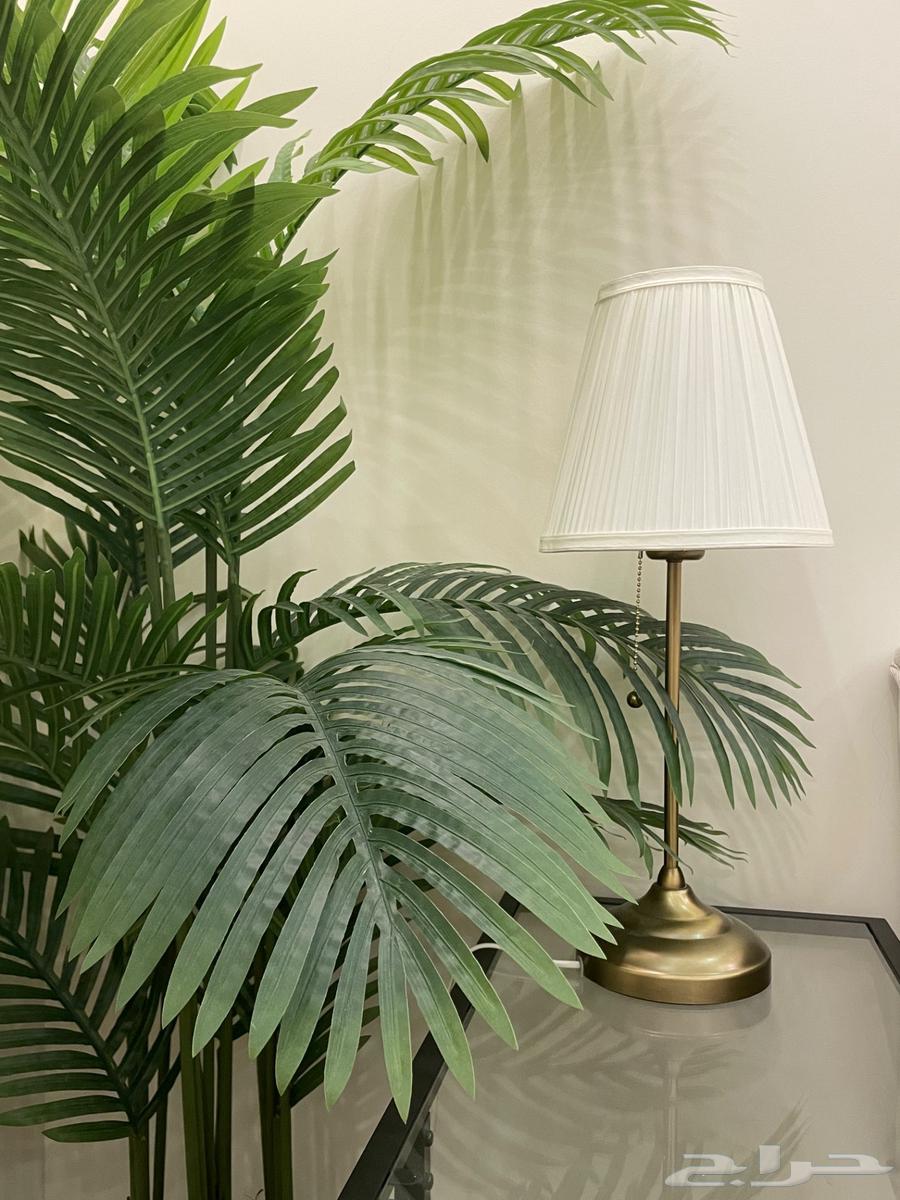 كنب للبيع64255537431555112