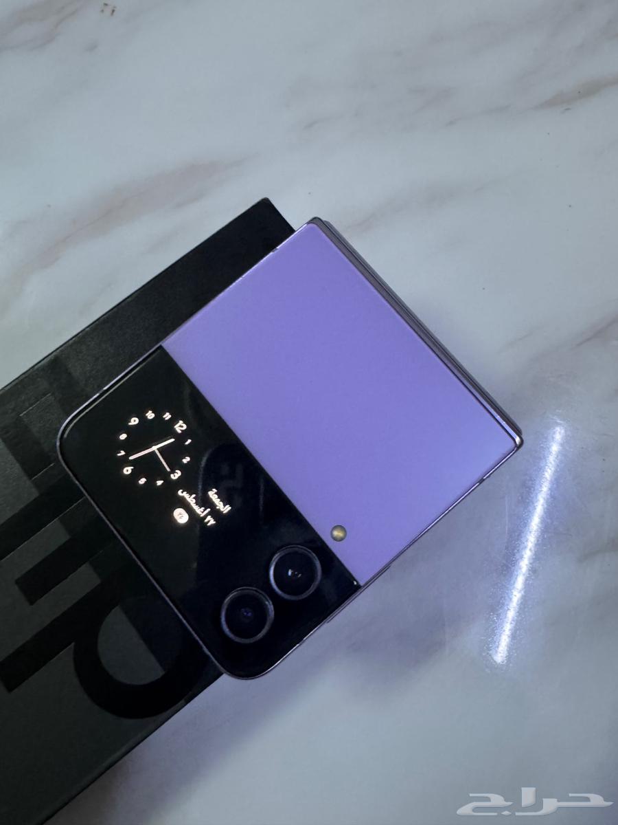 زد فليب 464257389605250112