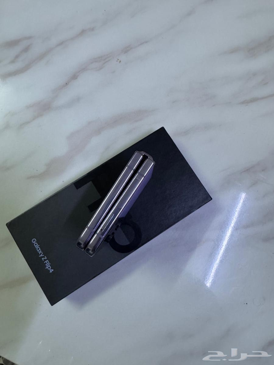 زد فليب 464257389605250113