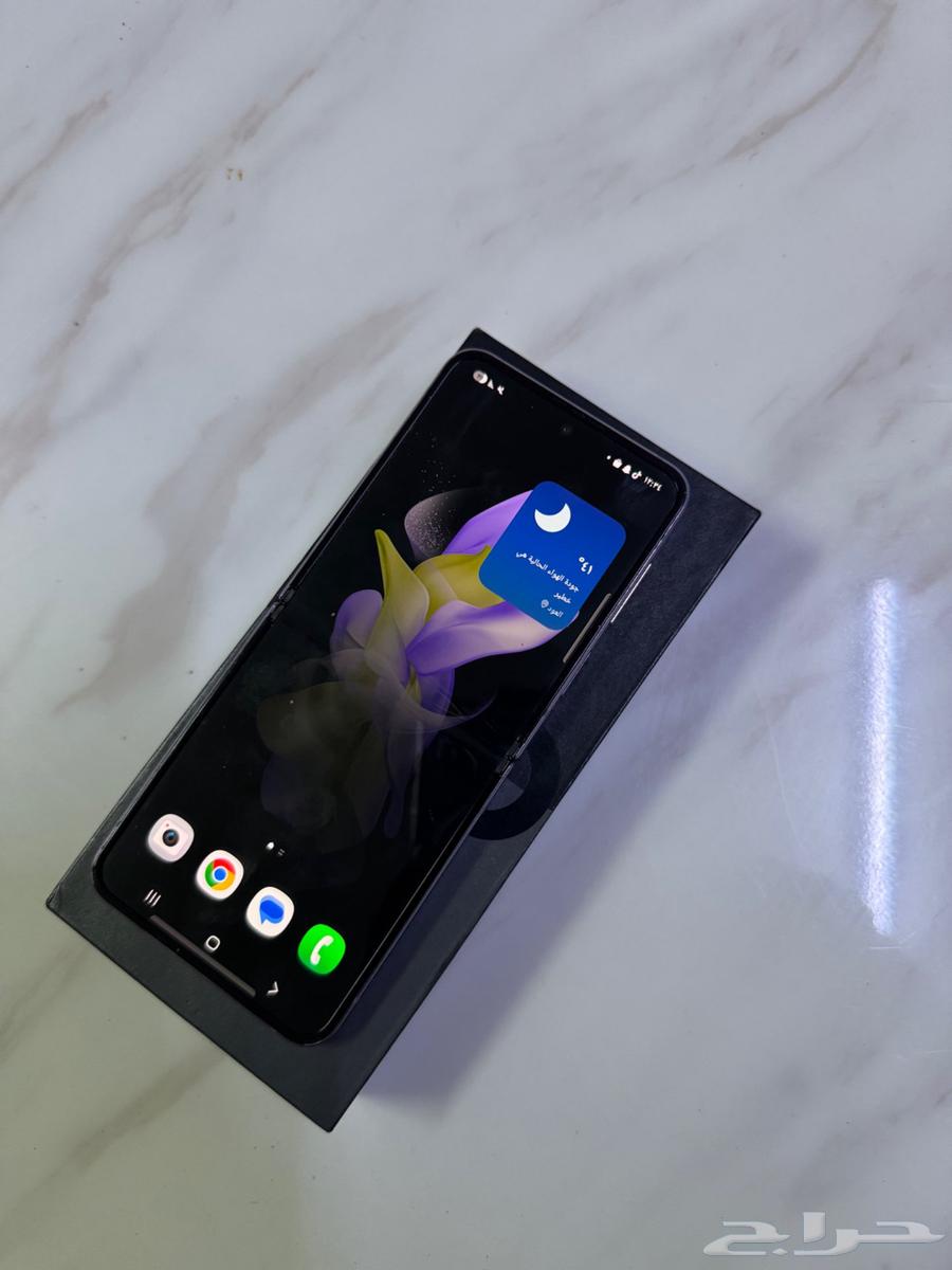 زد فليب 464257389605250111