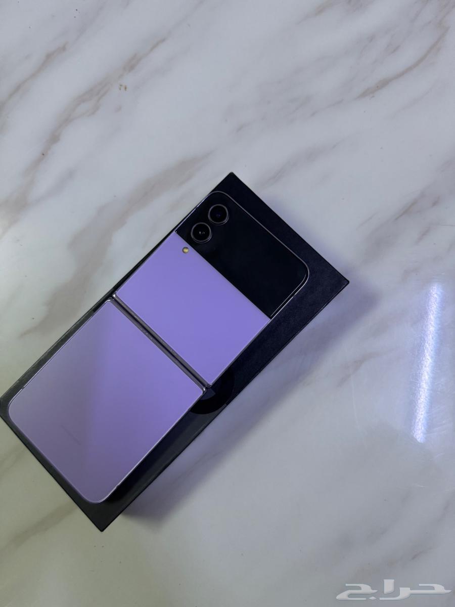 زد فليب 464257389605250110