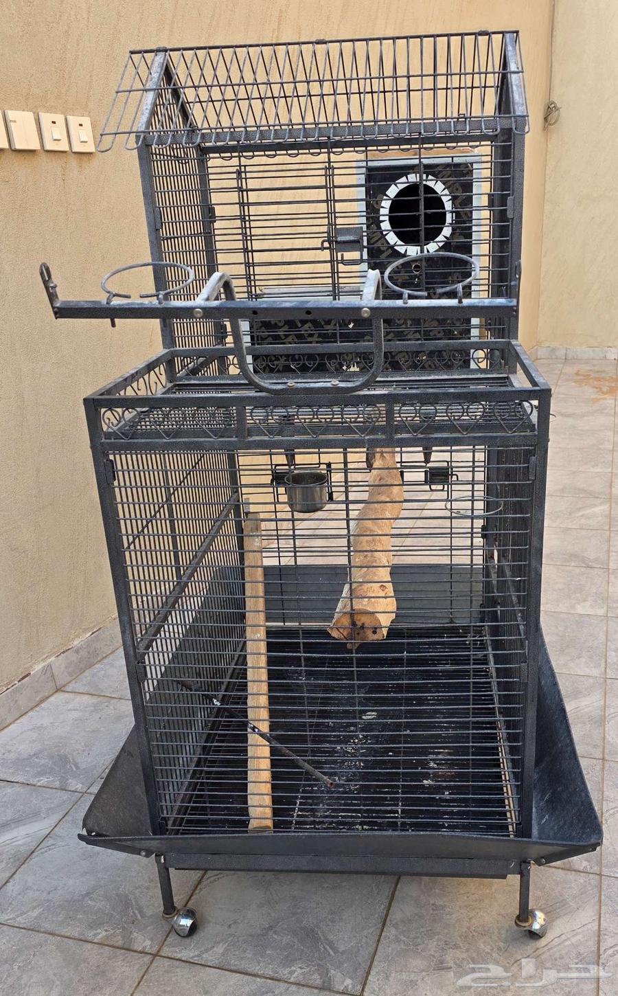 للبيع شبك كبير ونظيف للكاسكو64238371580801110