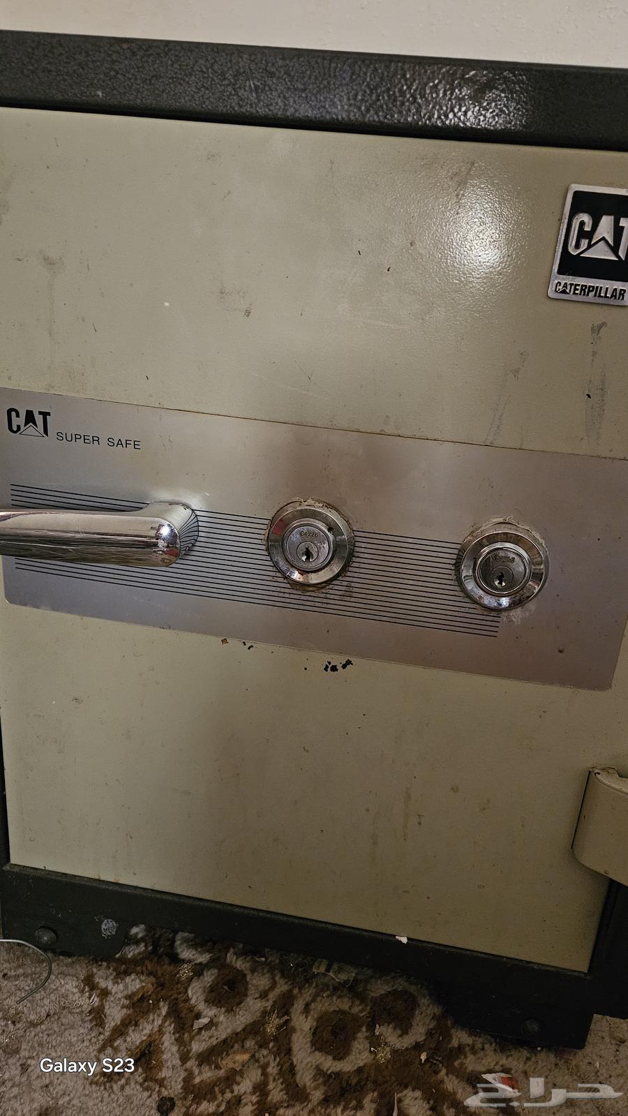 المدينة المنورة64238371273858110