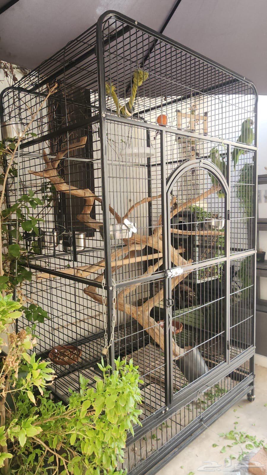 Large cages available, length 200, width 127, 2 new ones in carton64246141926018111