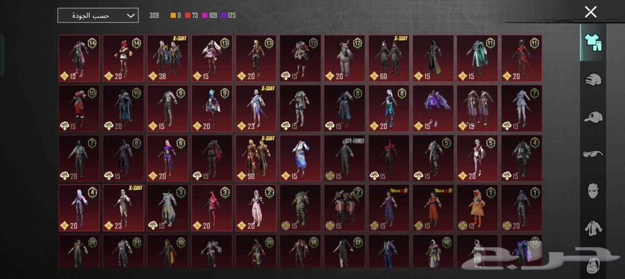 حساب ببجي للبيع64242263960450113