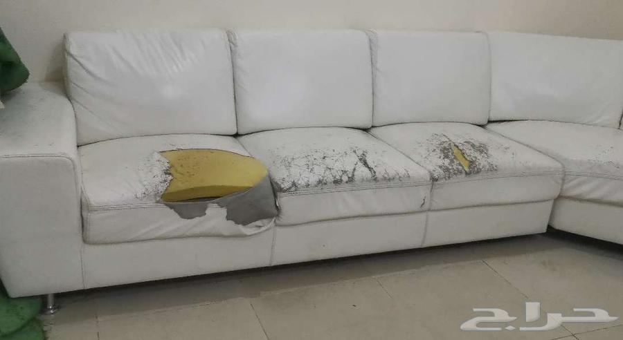 غرفة نوم نفر وفراش سجادات وطاولات وكنب ودراجه64243692137601112