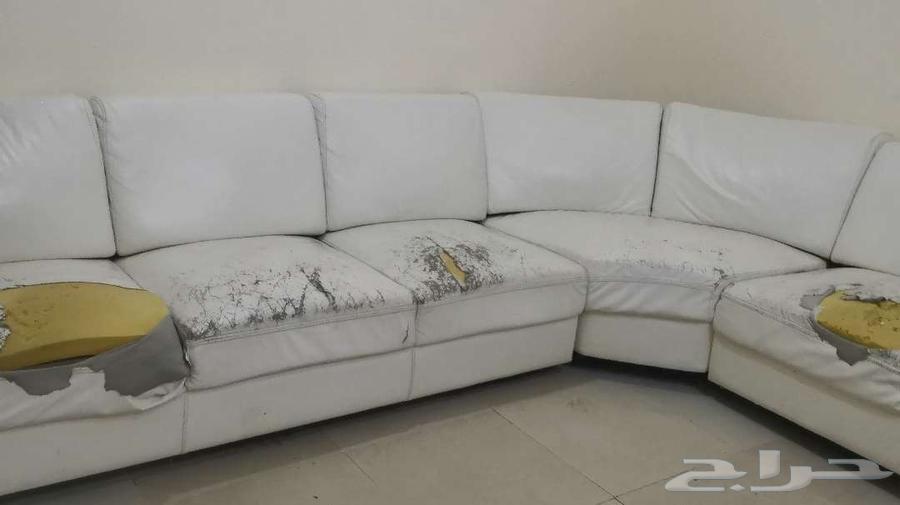 غرفة نوم نفر وفراش سجادات وطاولات وكنب ودراجه64243692137601110