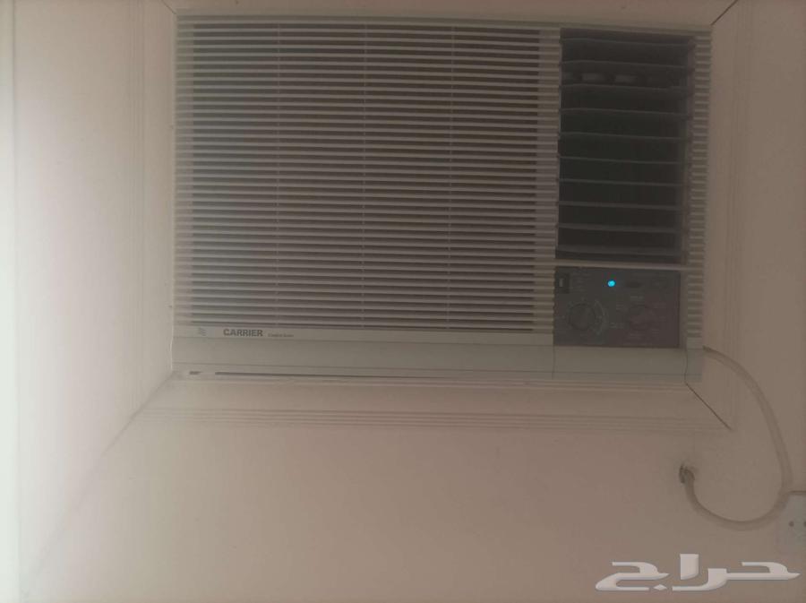 المدينة المنورة قربان64248697172227111