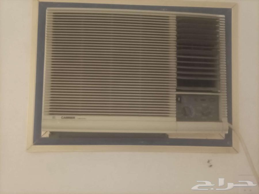 المدينة المنورة قربان64248697172227110