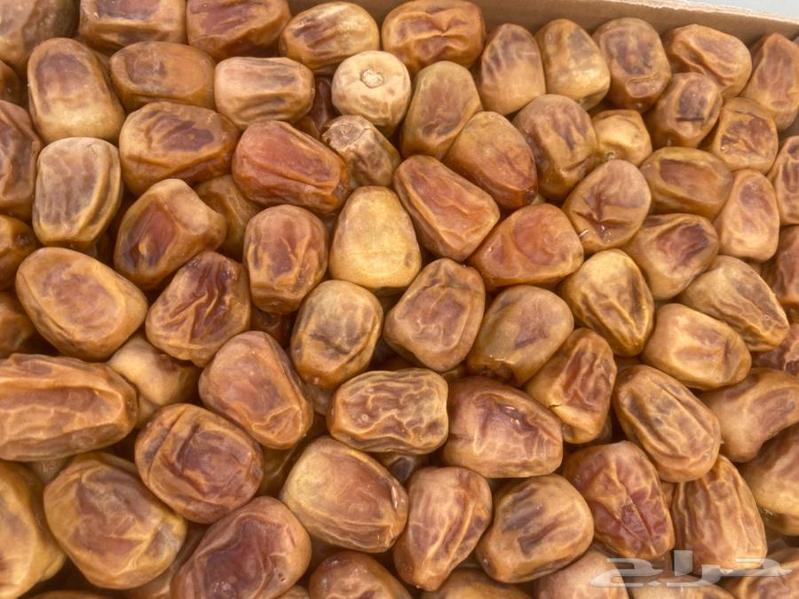 Twisted dates upon request64236458880131110